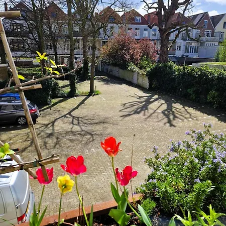 Court Garden 3*