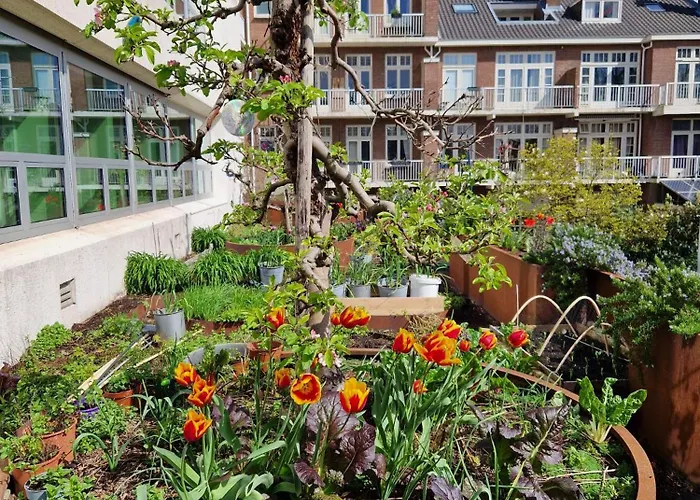 Court Garden Szálloda