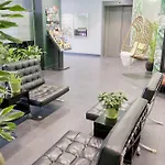Court Garden