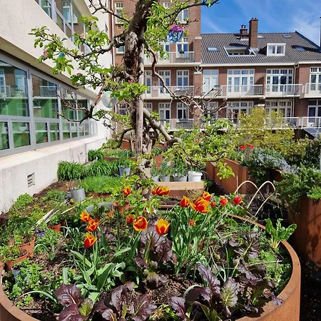 Court Garden ホテル